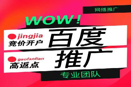 SEM代运营托管公司成功案例：提升转化率的关键策略